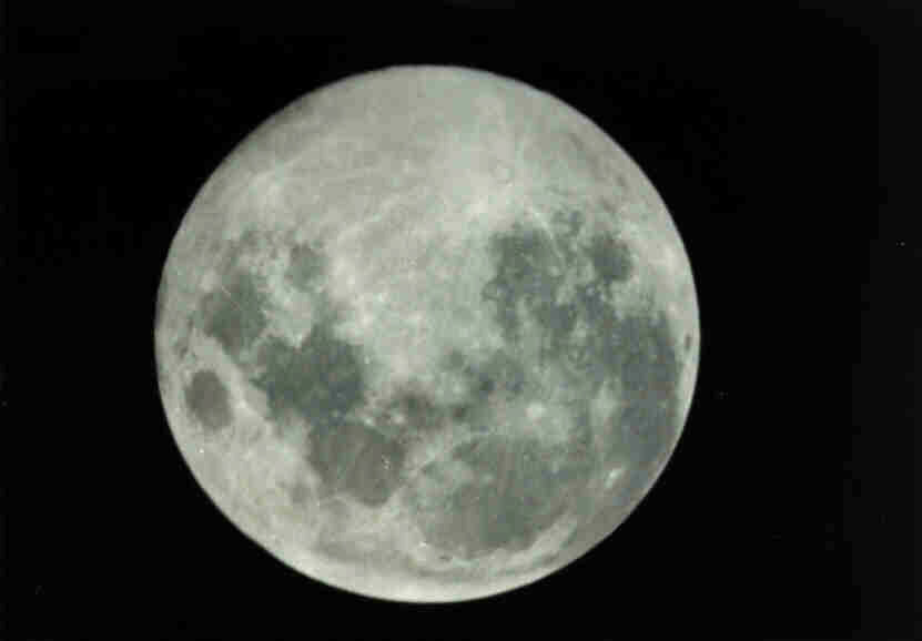 Der Mond. Adamski behauptete allen Ernstes, daß auf der Vorderseite des Erdtrabanten pelzige Tierchen leben